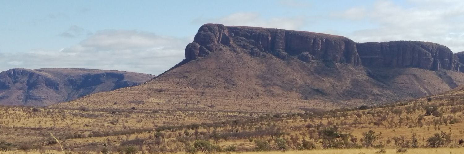 Simon Nicholas banner