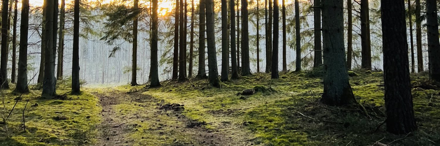 CarlVinay's profile banner image