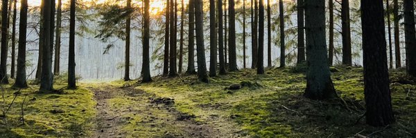 CarlVinay Profile Banner