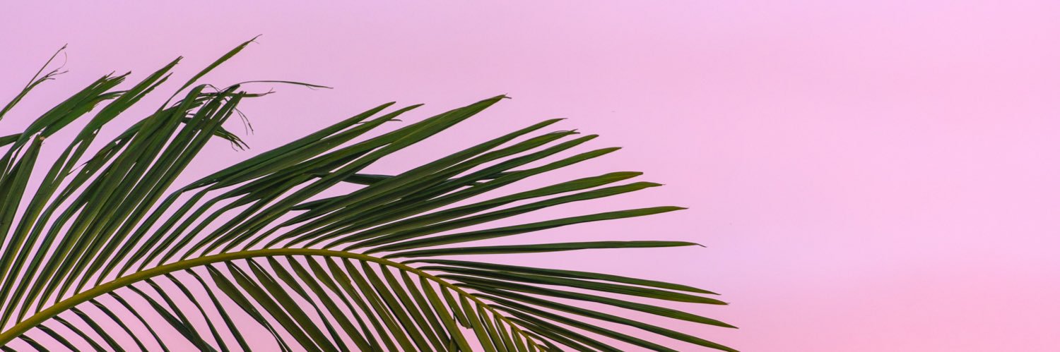 adamlolok's profile banner image
