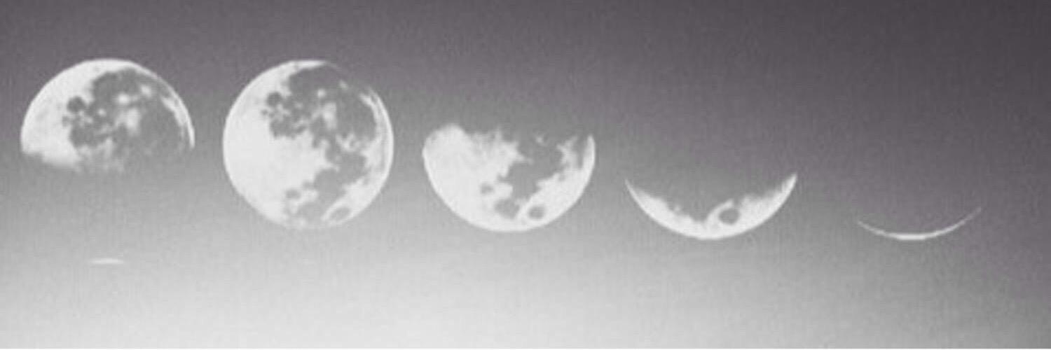 ariana  banner