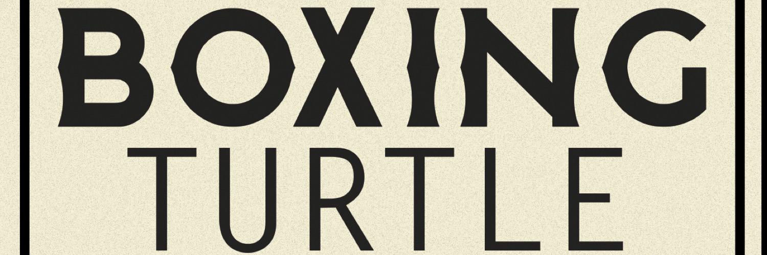 BoxingTurtleBC's profile banner image