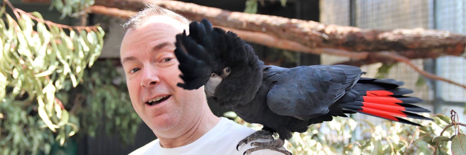 DrSimonStevens's profile banner image