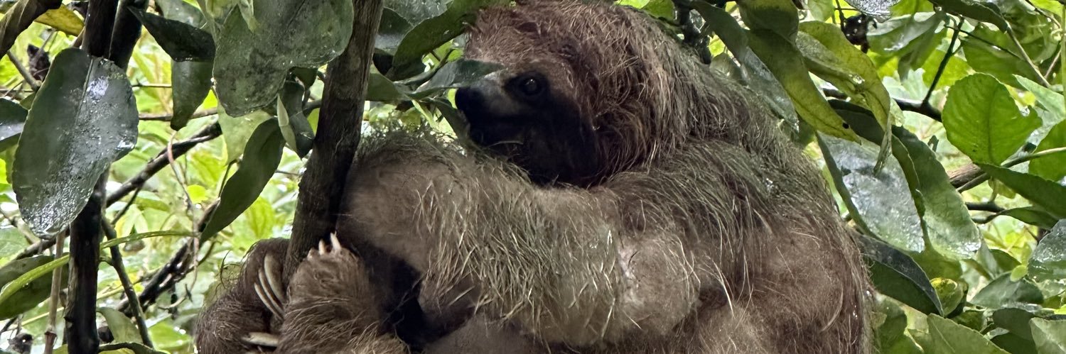 aaronmpowell1's profile banner image