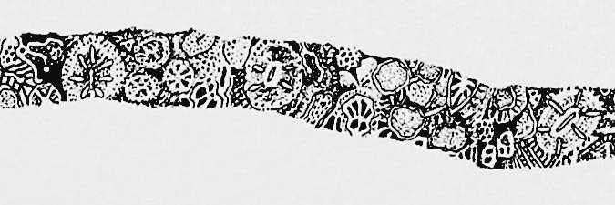 microbioscapes's profile banner image