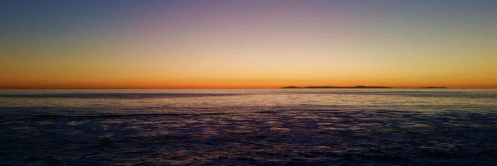 jasminef222's profile banner image