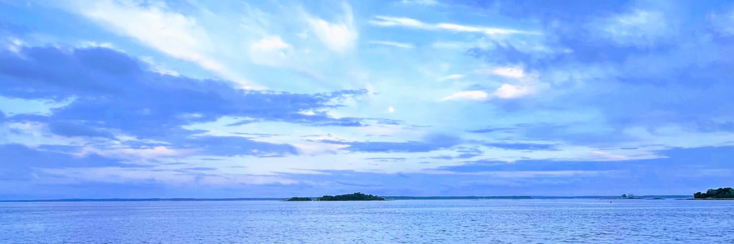 dnsebok's profile banner image
