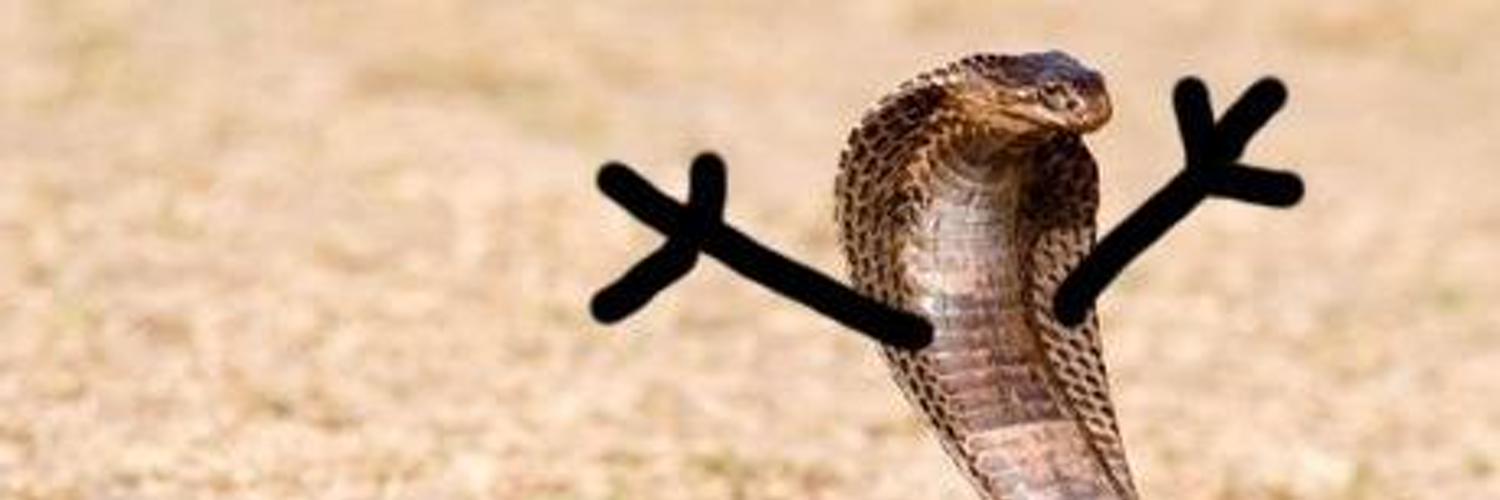 karrouma_k2r's profile banner image