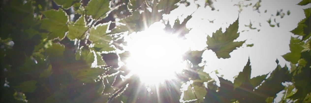 claire_u_'s profile banner image