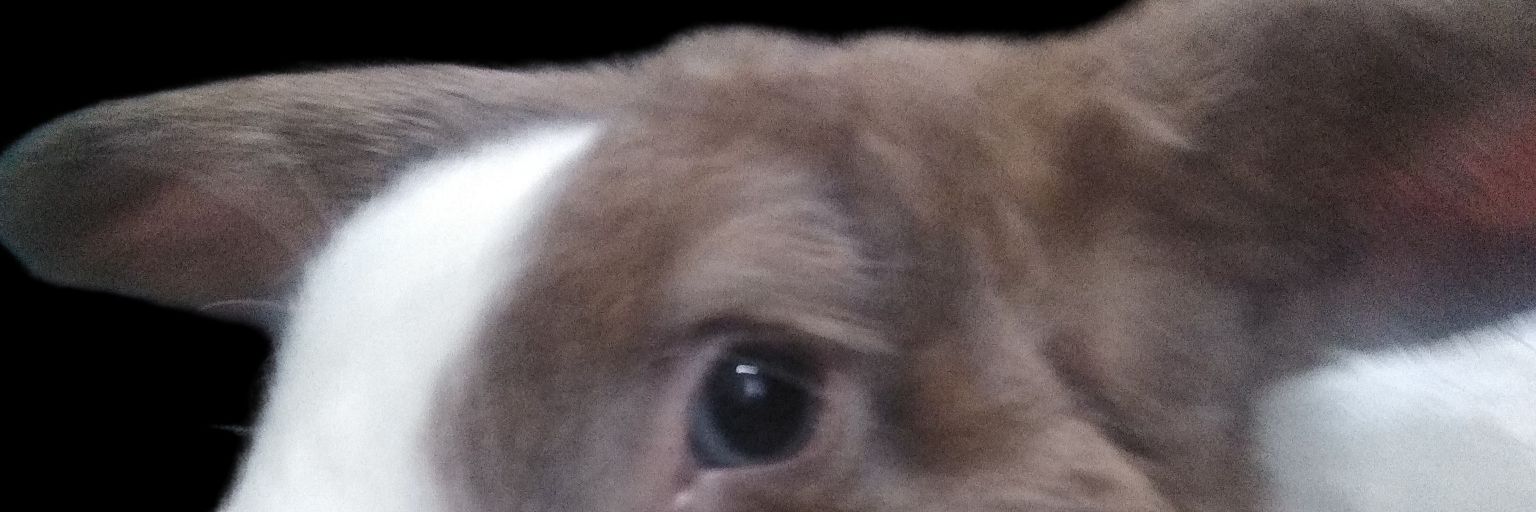 Em_Rojas16's profile banner image