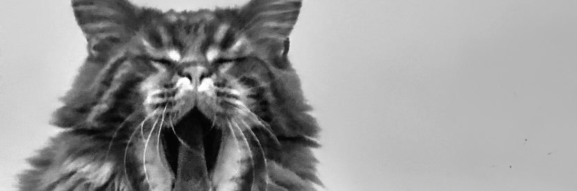 LibradeLibro_'s profile banner image
