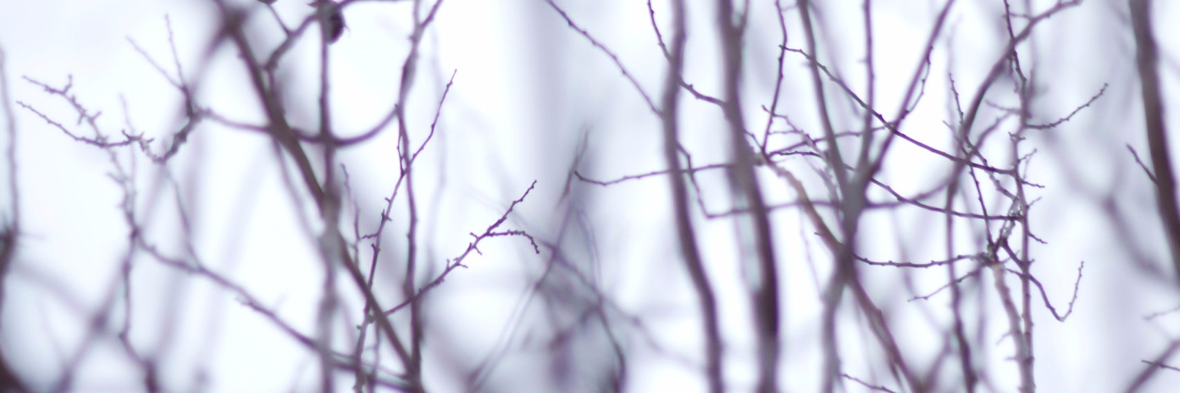 0Goodnightmoon0's profile banner image