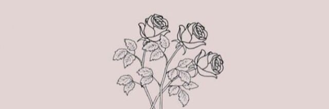 valebarosco's profile banner image
