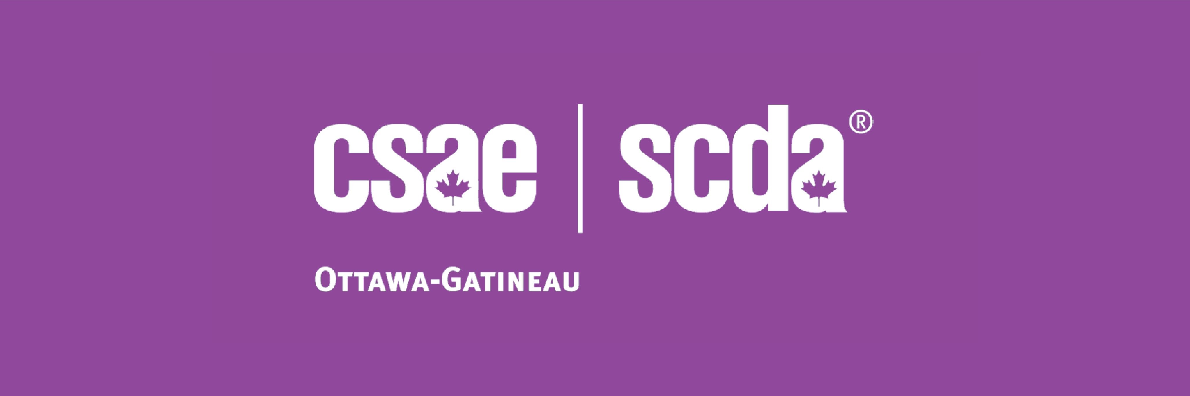 CSAE Ottawa-Gatineau Network banner