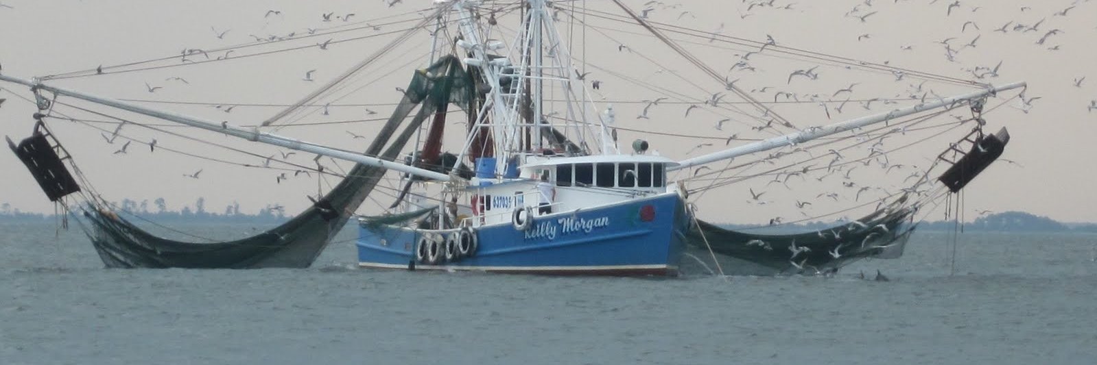 Texas Shrimp Assoc banner