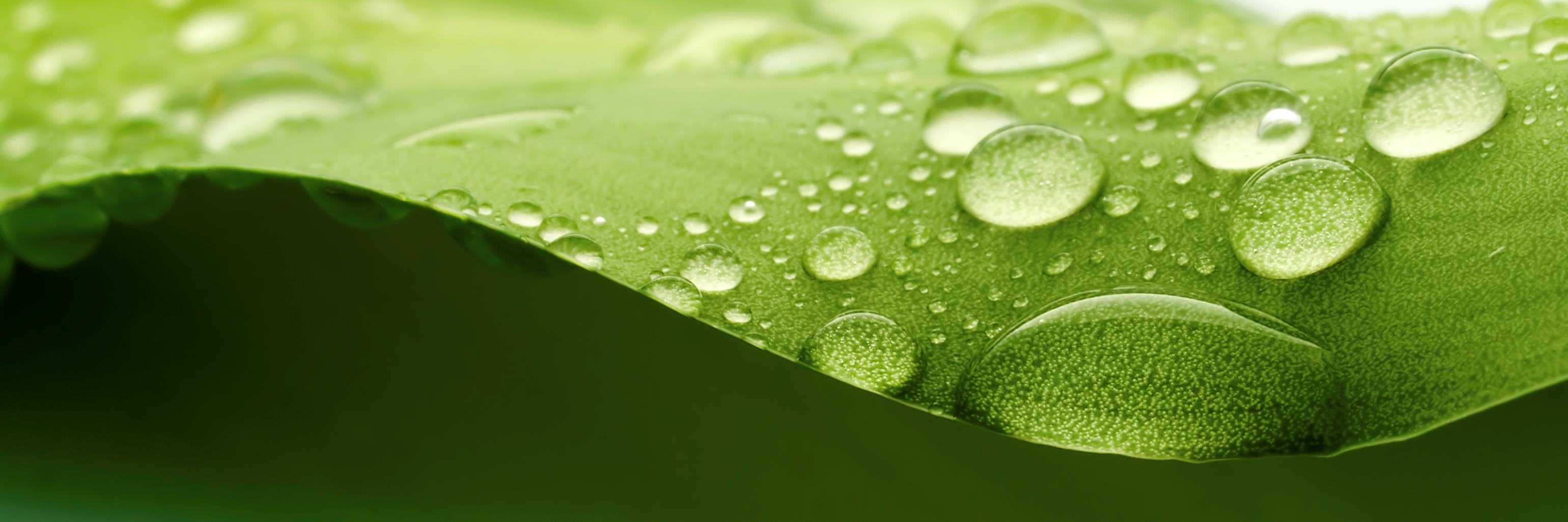 360enviro's profile banner image