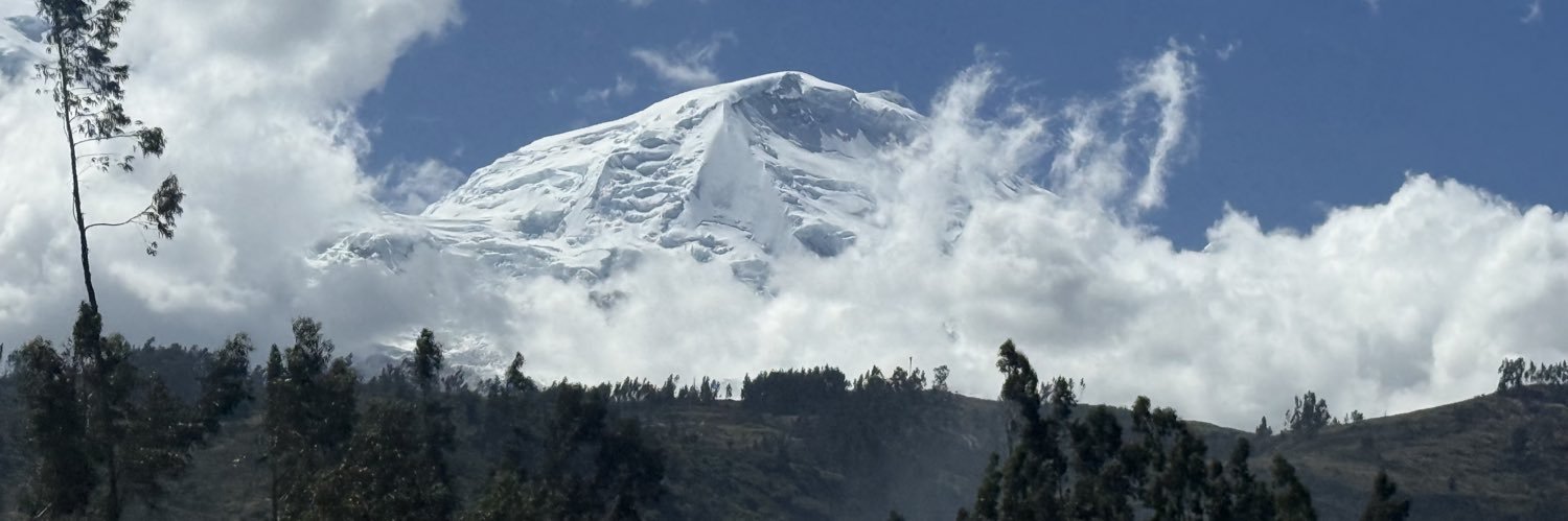 Elfojojoy's profile banner image