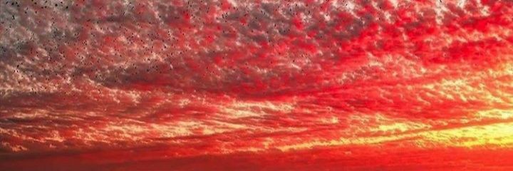 Maffe_medina's profile banner image