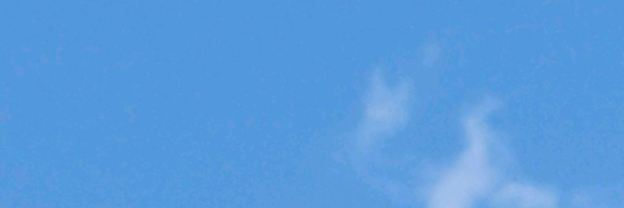 Wallleyy's profile banner image