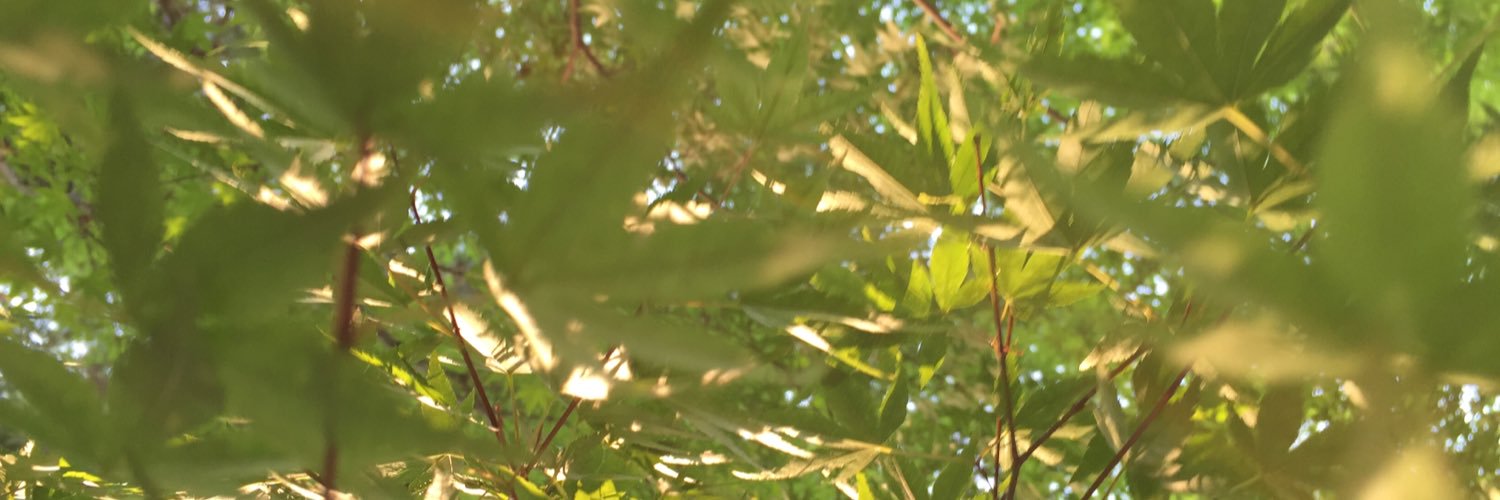 calmday365's profile banner image