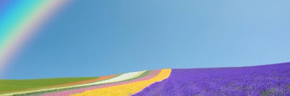 chari11281's profile banner image