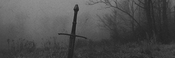 LadyRedNoir's profile banner image