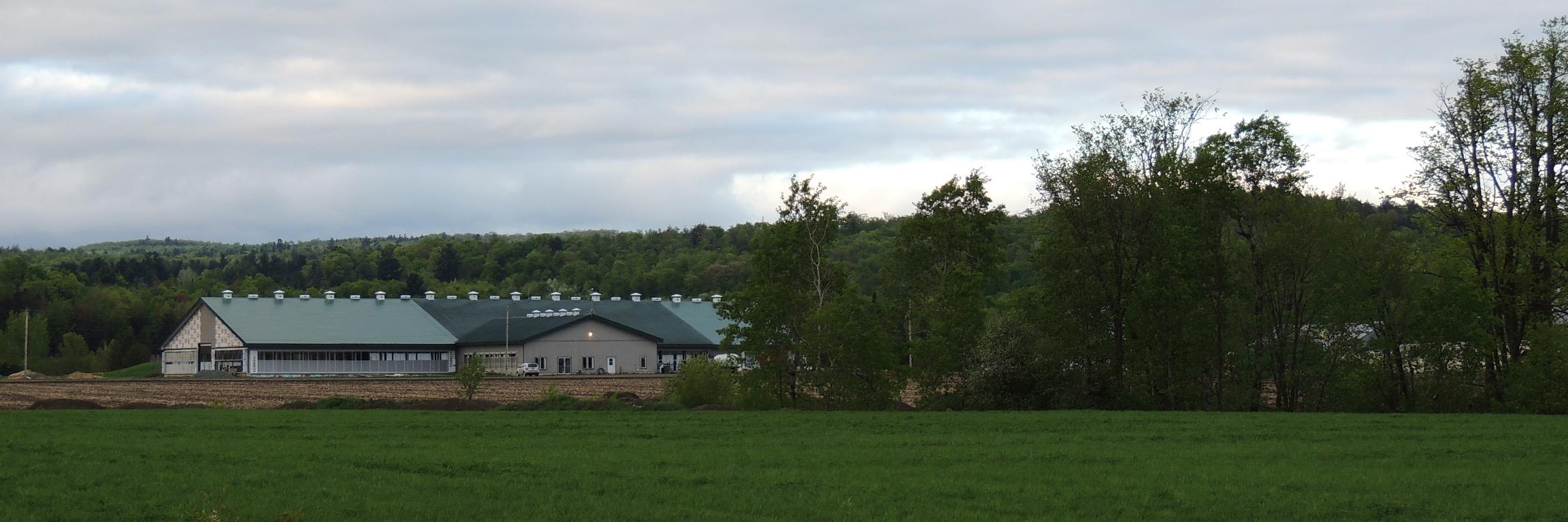 Tranquillityag's profile banner image