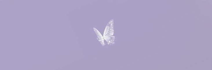 xfalseprincess's profile banner image