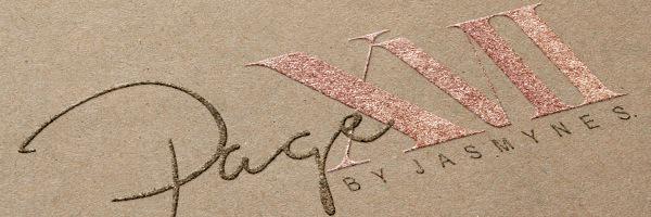 PageXVIIbyJS's profile banner image