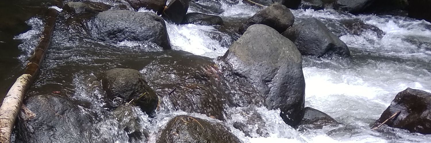 chopah_'s profile banner image