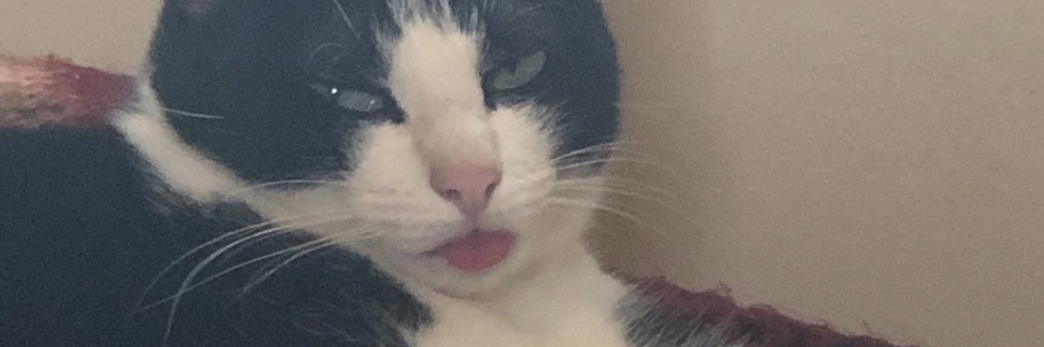 mileycirus666's profile banner image