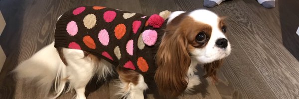 DrEricBall Profile Banner