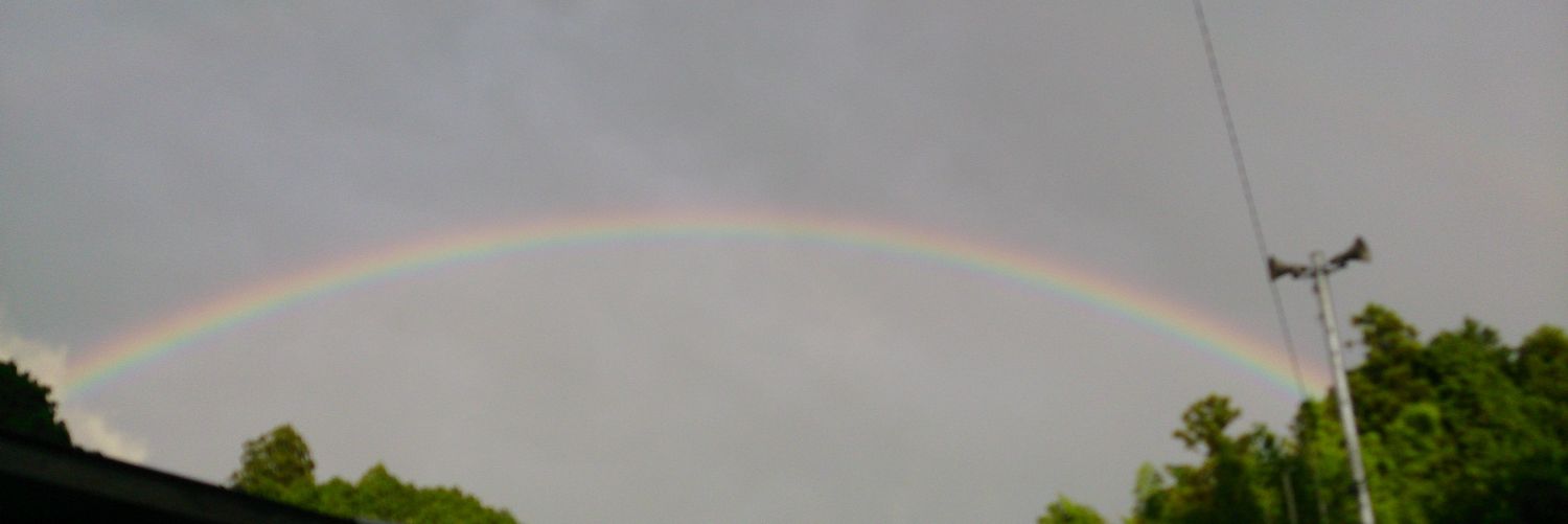 Wisdom_Forward's profile banner image
