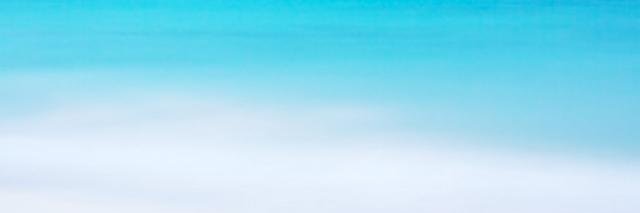 Lisa Rodrigues banner