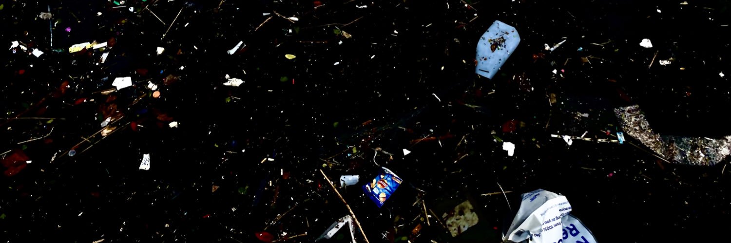 Pascaline Francelle banner