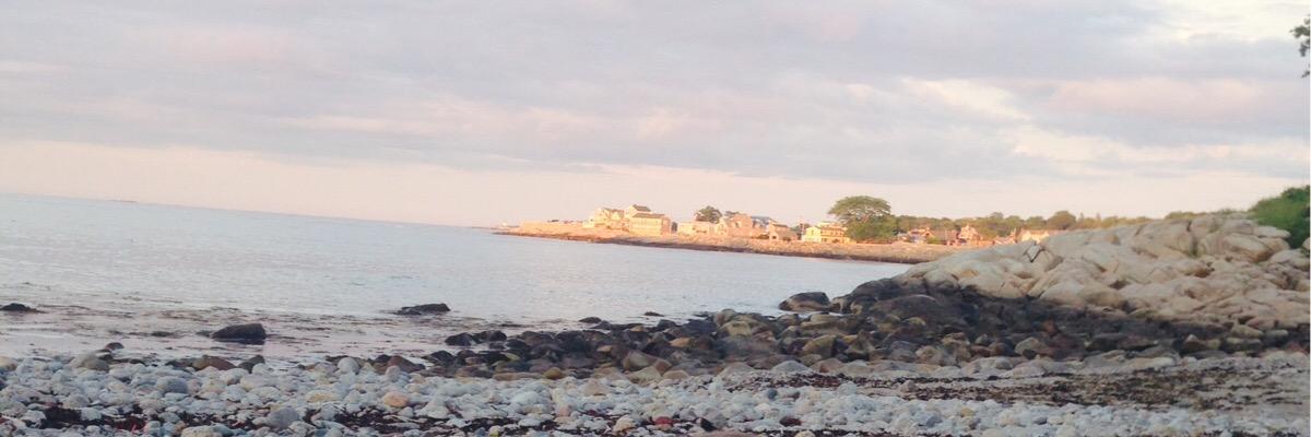 MichelaTobin's profile banner image
