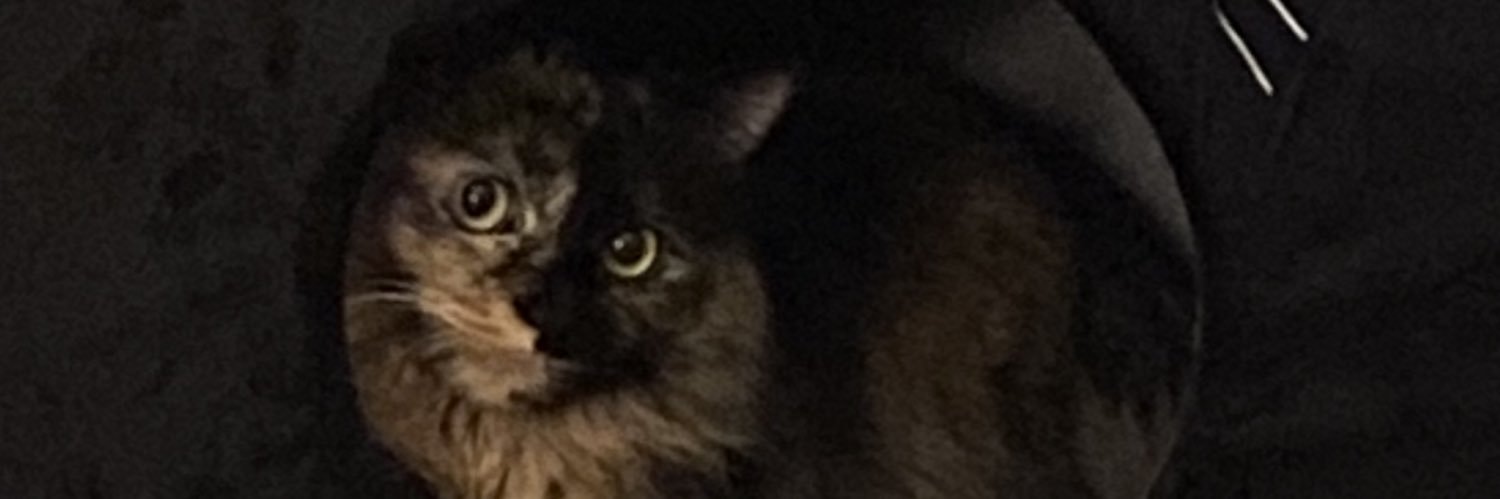 samsexton17's profile banner image