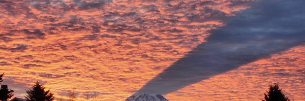 Data_Junkie_ Profile Banner