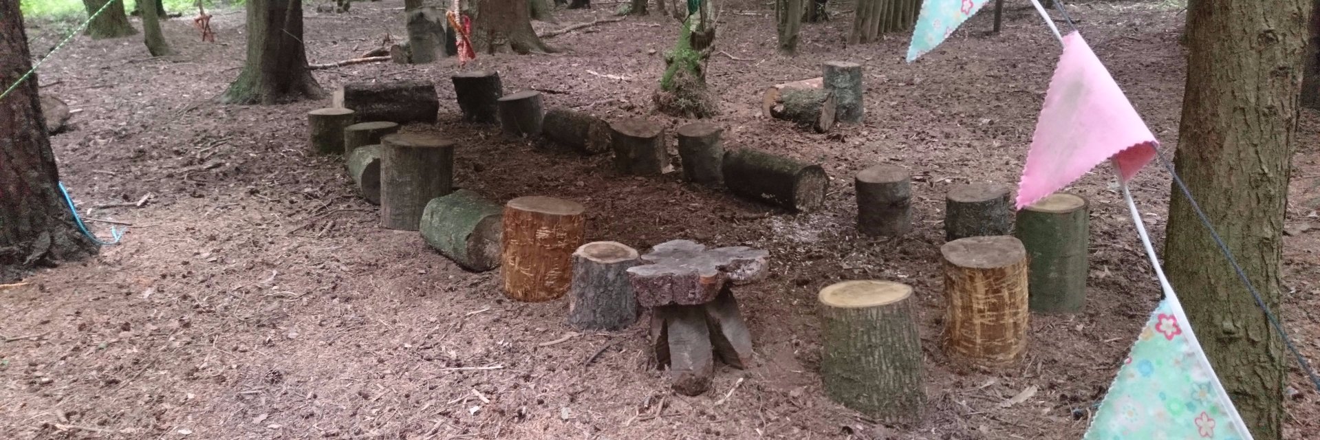 The Roots Project banner