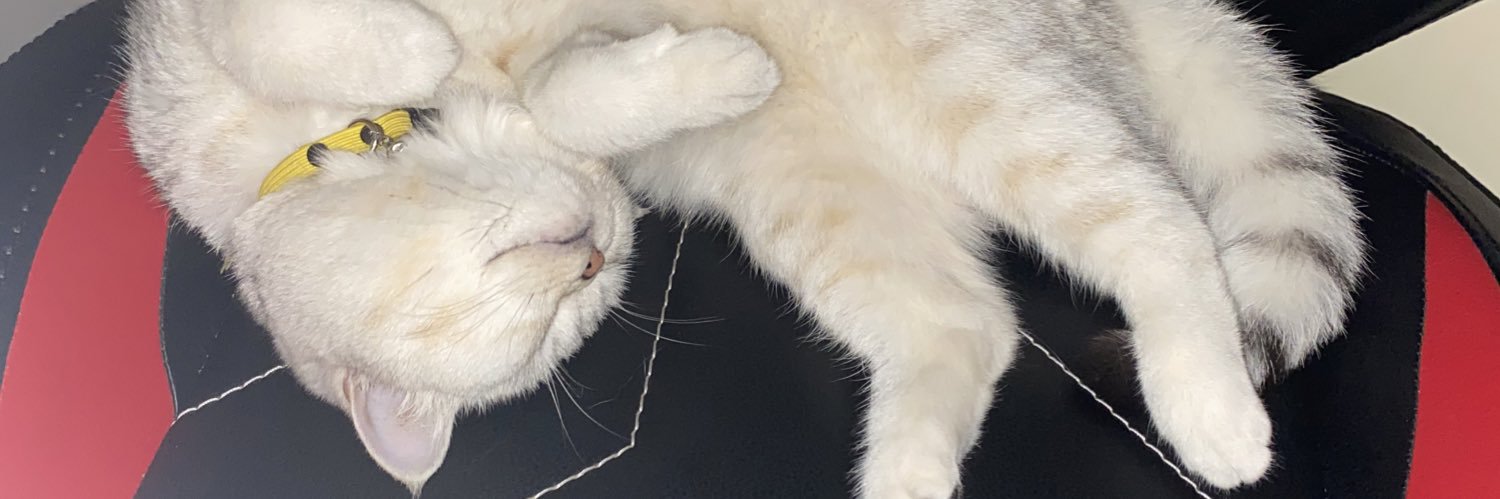 bdoguu's profile banner image