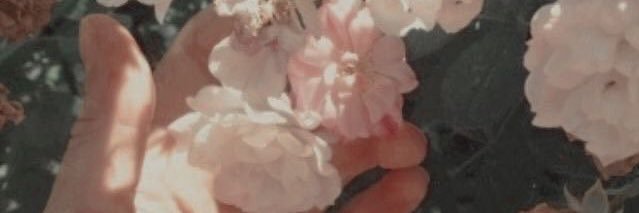 SongbirdRen's profile banner image