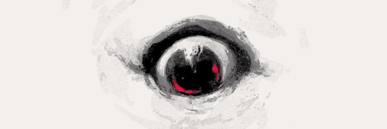 The Wizard of Winter Quarters banner