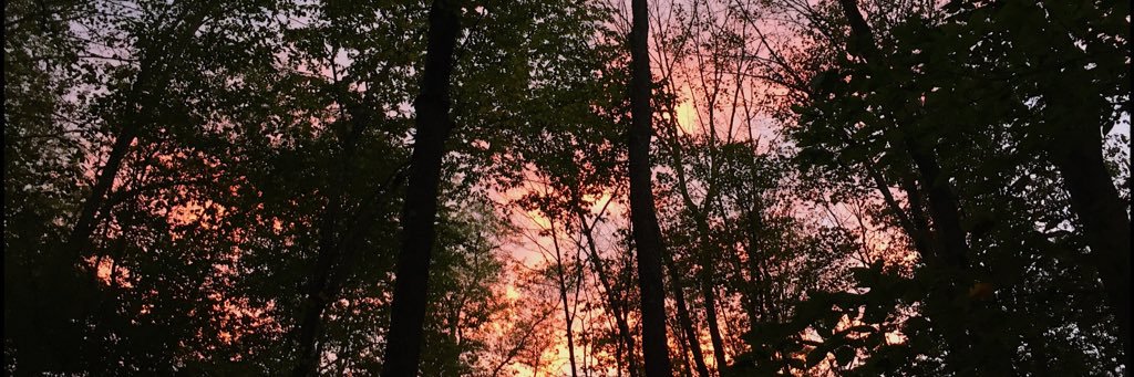 ensalada_'s profile banner image