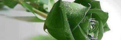 pimarg45's profile banner image