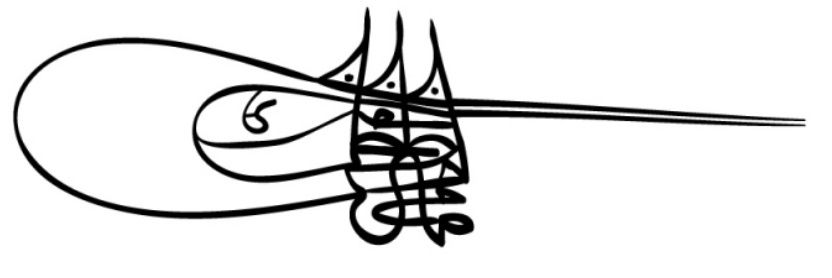 levendmahmud's profile banner image