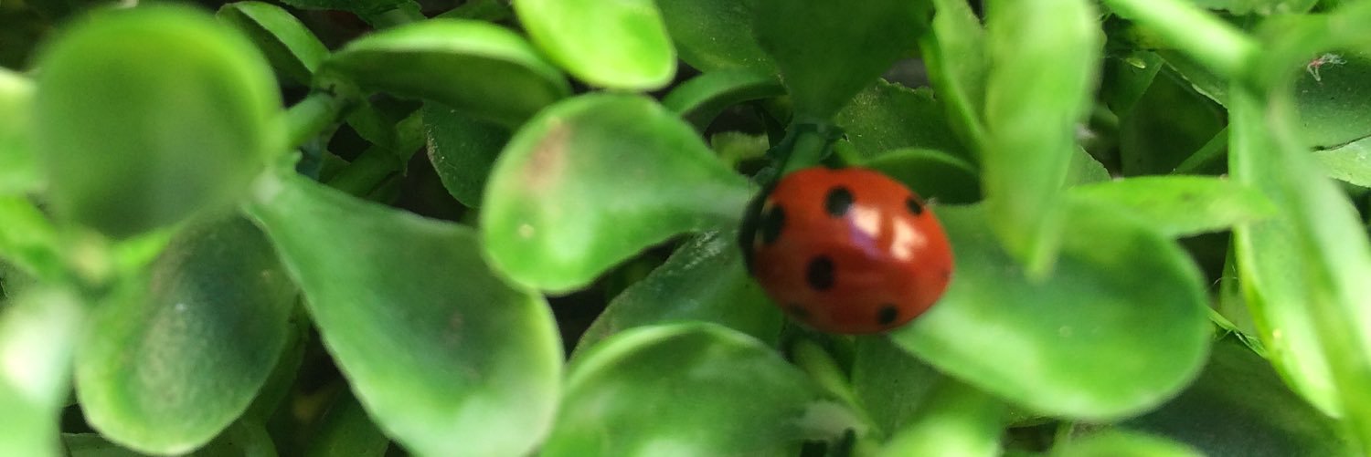 Niusk82's profile banner image