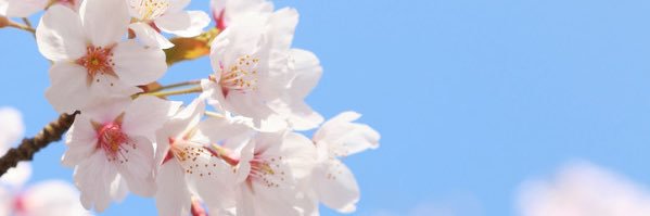 夜猫@プロフ必読 banner