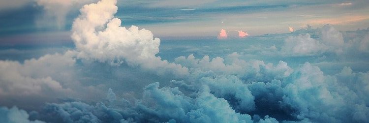 Sophiesaurio's profile banner image