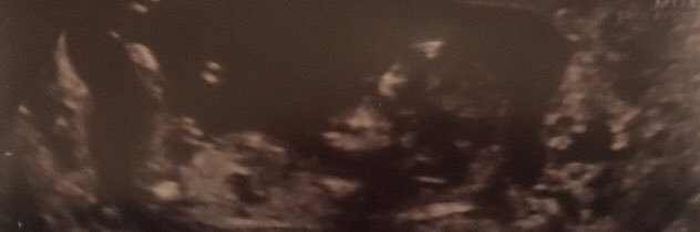 OriginalStevenD's profile banner image