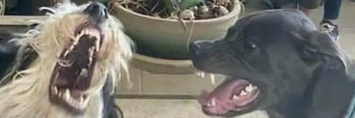 eli_trealout_'s profile banner image